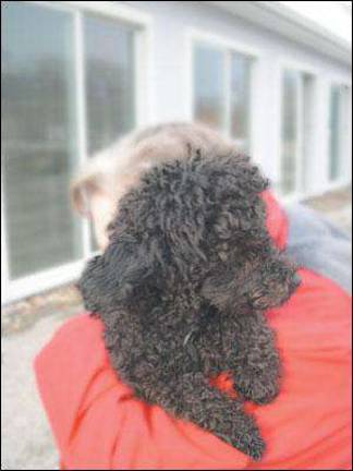 And he has naturally curly hair, too!