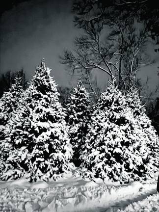 West Milford was hit by several snow storms on Saturday and Sunday.