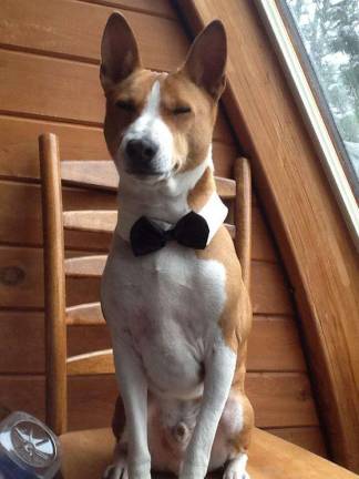 Submitted by Megan Pisani of Sussex, N.J. "007. The name is Torque, Mr. Torque."