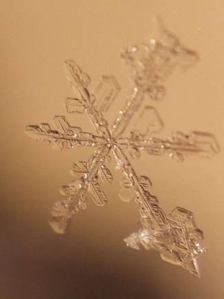 Seeing a snowflake up close helps you to appreciate the beautiful intricacy of it. Despite the shoveling.