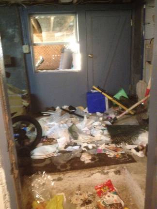 Bear killed after breaking into Pinecliff Lake home