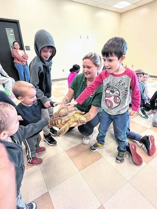 Children feel a turtle.