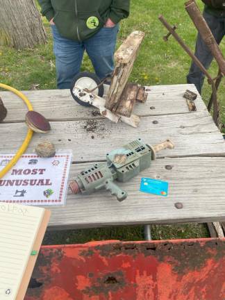 These were some of the most unusual items found in the cleanup.