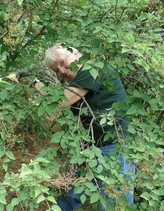 Edith Wallace will lead the nature walk at the botanical garden this Sunday, June 24.