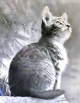 Stan Zimmerman’s drawing of a cat titled “Wild Thing” won the People’s Choice for 2021 at the seventh annual art show hosted by the Friends of Wallisch.