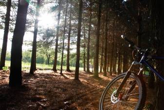 Bicycle Safety in West Milford: Lessons from New York City
