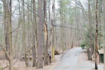 Current power lines strung across Pinecrest Trail.