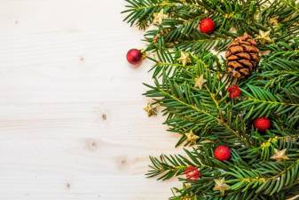 Scout troops to recycle Christmas trees