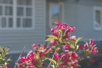 West Milford announces ‘House Beautiful’ contest