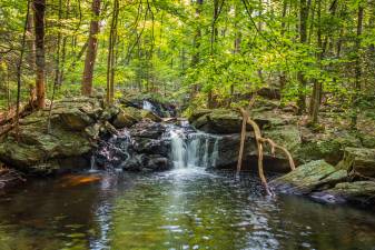 Apshawa Preserve