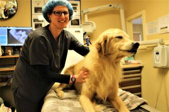 Garrett Hemmerich photos Dental Vet Tech Melissa Romano gives &quot;O'Malley&quot; a dental examination at the Greenwood Lake Animal Hospital on Union Valley Road.