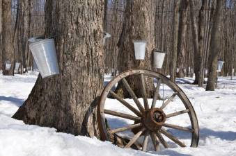 The New Weis Center for Education, Arts &amp; Recreation will offer programs on maple sugaring from mid-February through mid-March.
