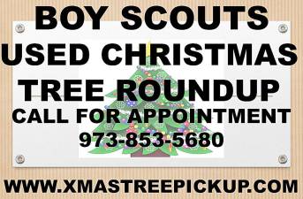 Scouts to recycle holiday trees