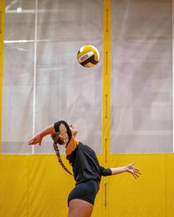 Senior Alexa Fritz sets the ball.