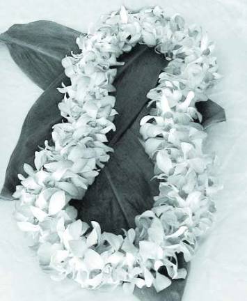 Dig out that flowered shirt for the Hawaiian Luau