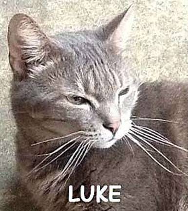 Luke has character to spare