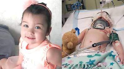 gofundme.com/f/baby-evie-medical-bills-and-recovery-fund