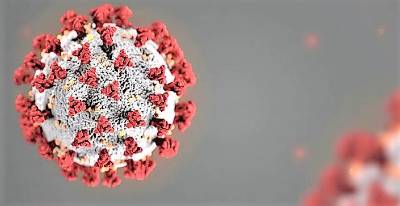 Positive COVID-19 case may have attended WMHS play last week, second case confirmed