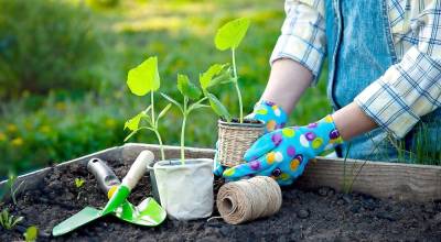 Science of gardening offered in 15 online classes