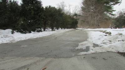 PHOTO BY ANN GENADER Walnut Street, pictured, is one of four Oak Ridge area private roads that will be reconstructed to become township roads.