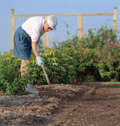 Learn about organic gardening with Sustainable West Milford