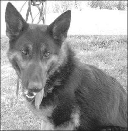 Marvelous Maxine may be your perfect match