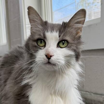 Meet Clarissa