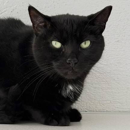 Salem