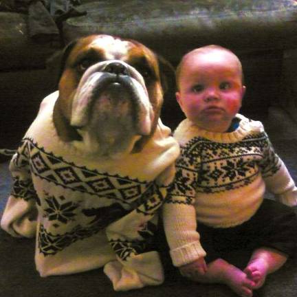 Now that's a Christmas card