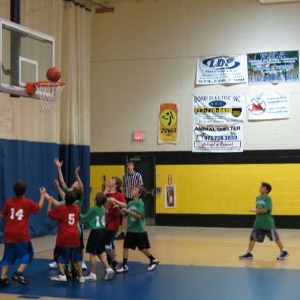 Celtics win PAL basketball championship
