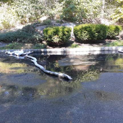Oil is spilled on the road after a home-heating oil truck crashed in West Milford.