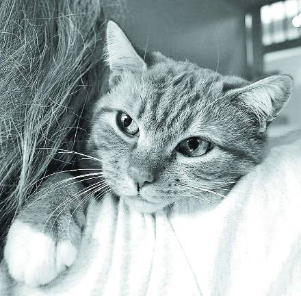 Jim Bob is a cuddler.