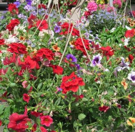 Time for the farmer's market