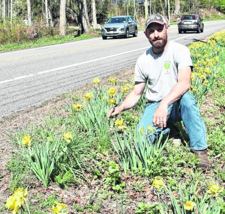 Hazelman Farms owner Rocky Hazelman amid the parade of daffodils along lower Macopin Road.