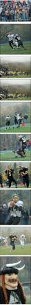 Vikings roll on