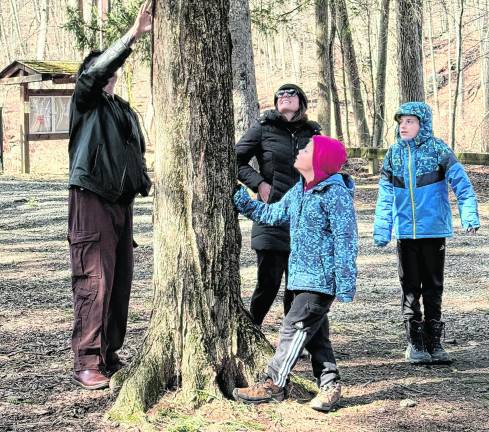Instructor, Irene Fedyshyn, explains to a group of parents and their children how to identify a sap-producing maple tree.