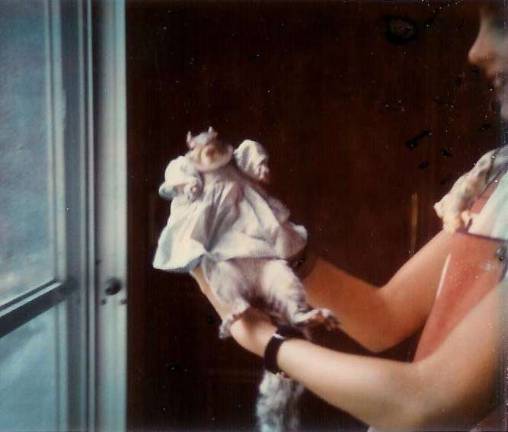 Submitted by Val Tabasco of Monroe, NY "Tuffy was my pet squirrel. She was an orphan. We set her free once she was old enough to fend for herself. She visited our house every day for the next seven years (1975-1982)."