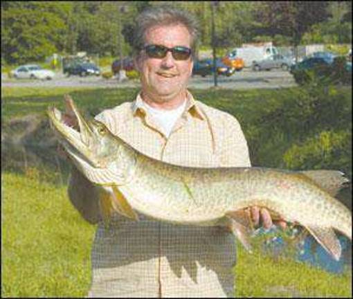 Fish tale