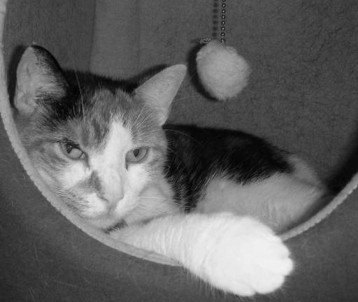 Give Lucky Lucy a second chance at happiness