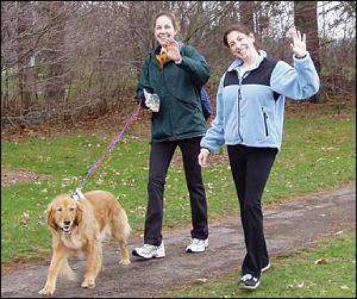 How many paws are there in the park?