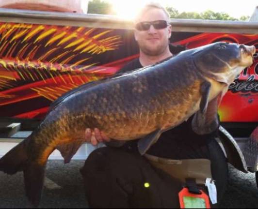 Now, that's quite a carp