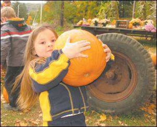 Pumpkin picking