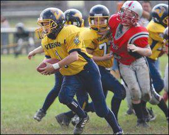 Vernon youth teams just super