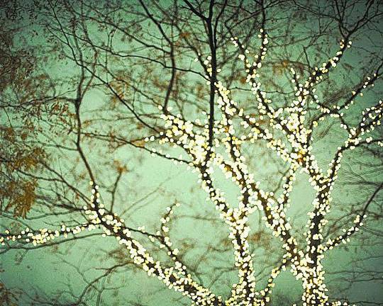 Volunteers to light up the town
