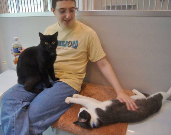 A shelter volunteer plays with a couple of the cats at the shelter. The shelter is in need of supplies and volunteers. These cats would love to be adopted.