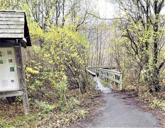 The Maple Road Boardwalk following the cleanup.