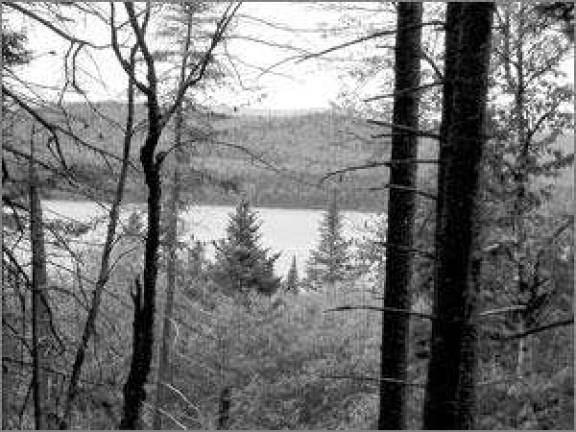 Hiking club provides physical challenges and natural beauty