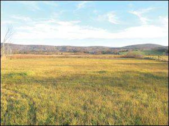 Open space