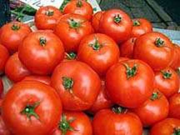 Get your Jersey on! Sweet Corn and Jersey Tomato Fest at Lafayette Village