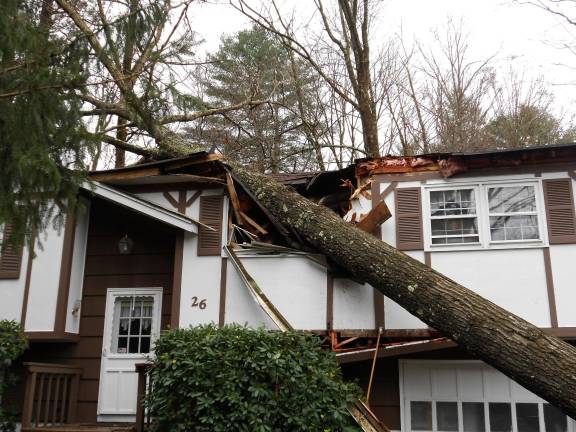 West Milford Messenger photographer Ginny Raue took this photo of her own house. Superstorm Sandy brought down the huge oak tree right onto her home office. No one was hurt here.